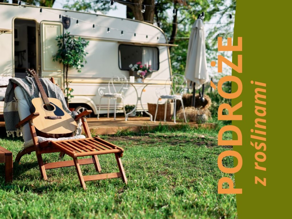 podróże z roślinami ze sklepu mikroklimat