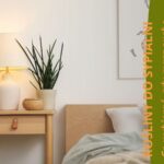 Roślina w sypialni ze sklepu mikroklimat