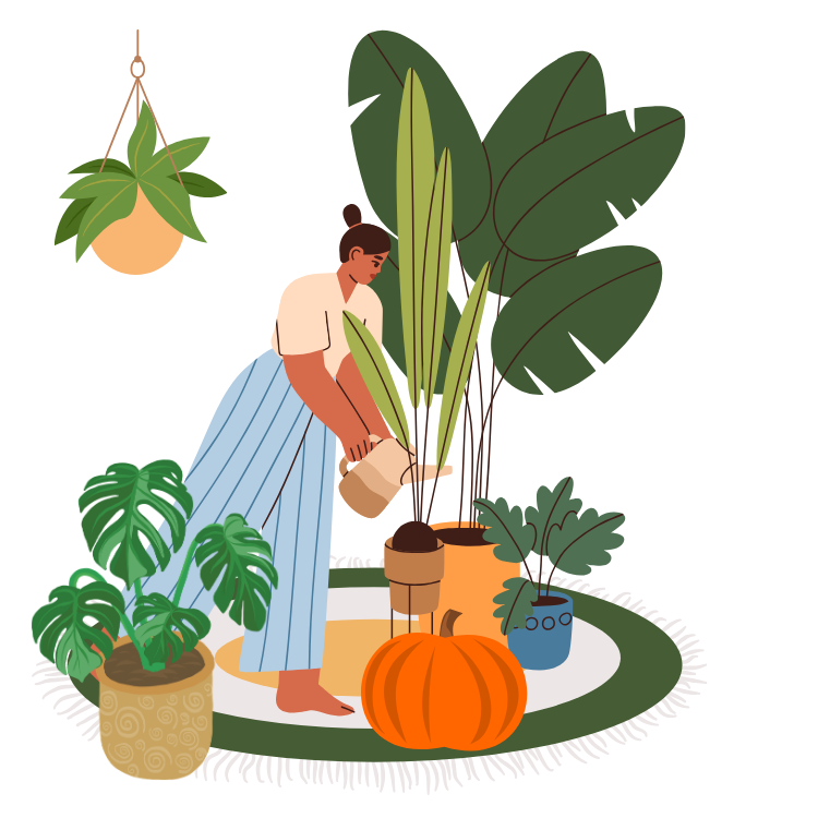 Grafika przedstawiająca kobietę podlewającą rośliny doniczkowe z mikroklimatu