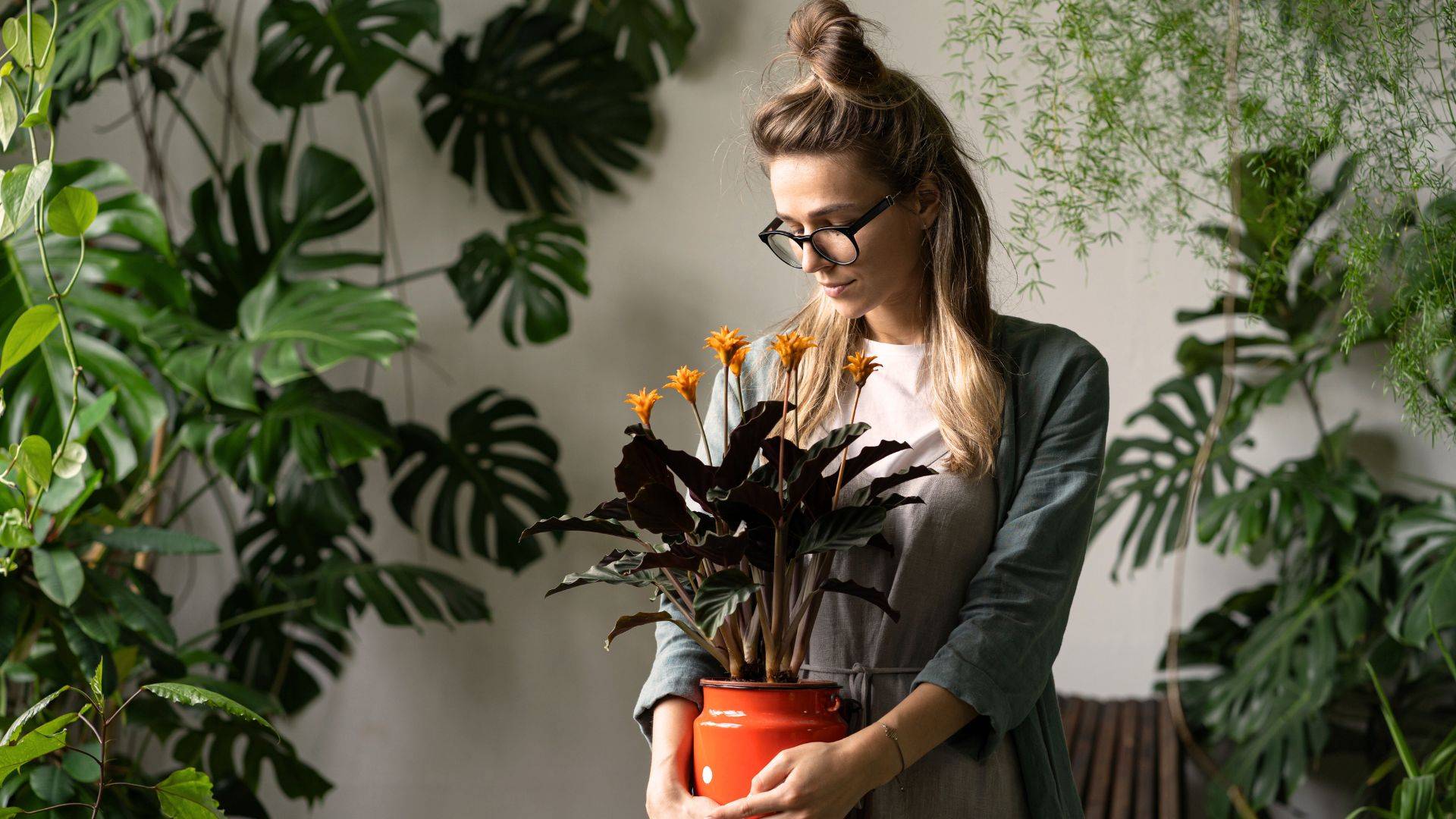 zdjęcie w tle dla sklepu z roślinami online mikroklimat